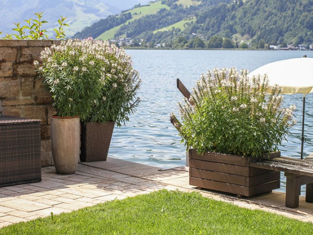 Seeappartement Erlberg