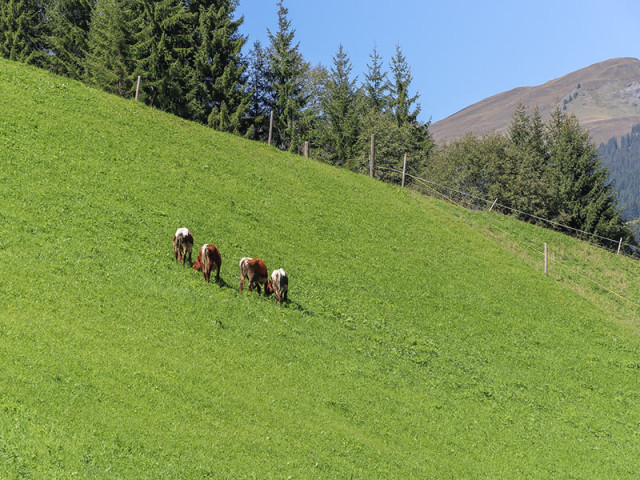 Landhaus Hinterglemm