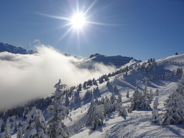 Sportchalet Viehhofen Appartements