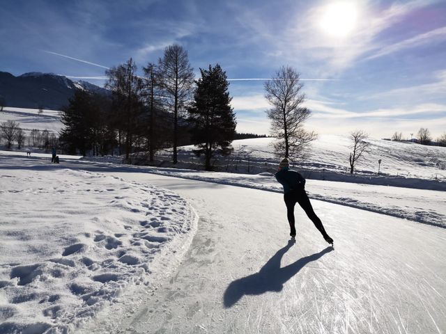 Sportchalet Viehhofen Appartements