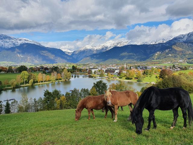 Sportchalet Viehhofen Appartements