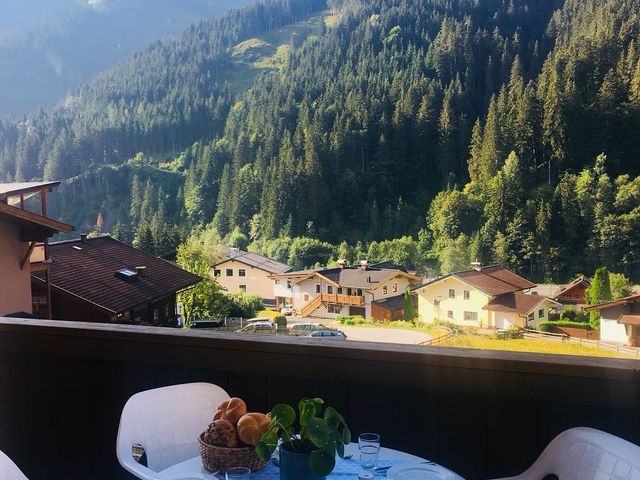 Sportchalet Viehhofen Appartements