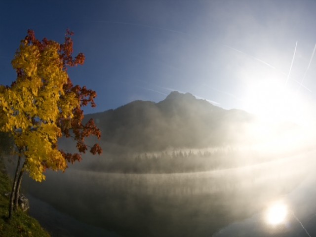 Appartements Margit Wurzenrainer